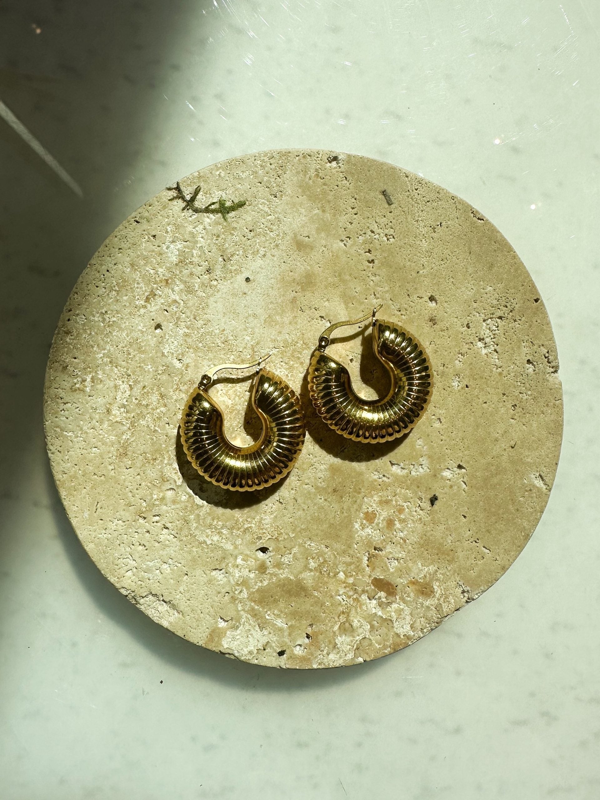 Troy earrings in gold